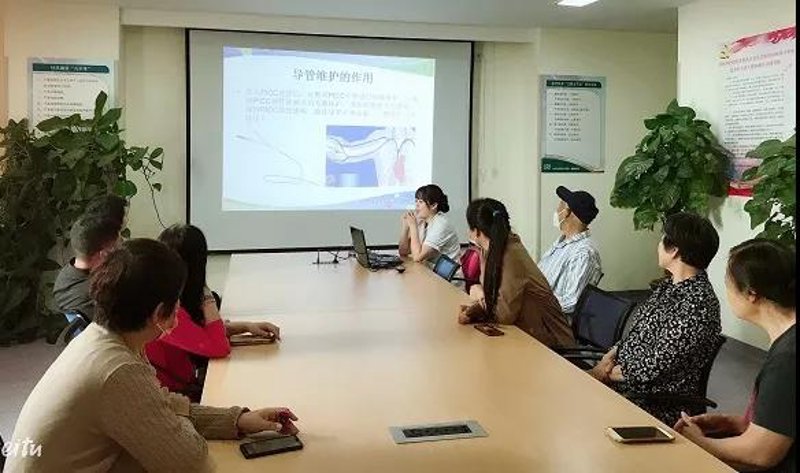AI站群程序：构建未来营销生态